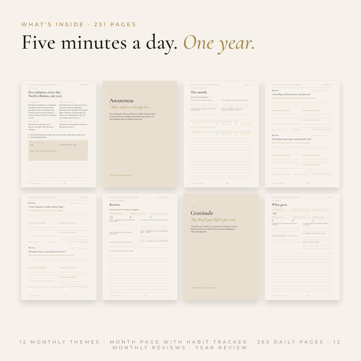 365 Days of Abundance Journal