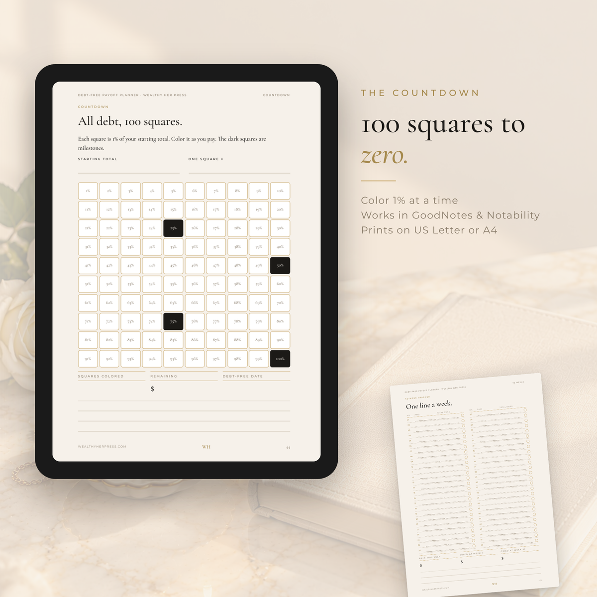 Debt-Free Payoff Planner